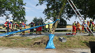Der gerammte Baum wurde nach dem Unfall sicherheitshalber gefällt. 