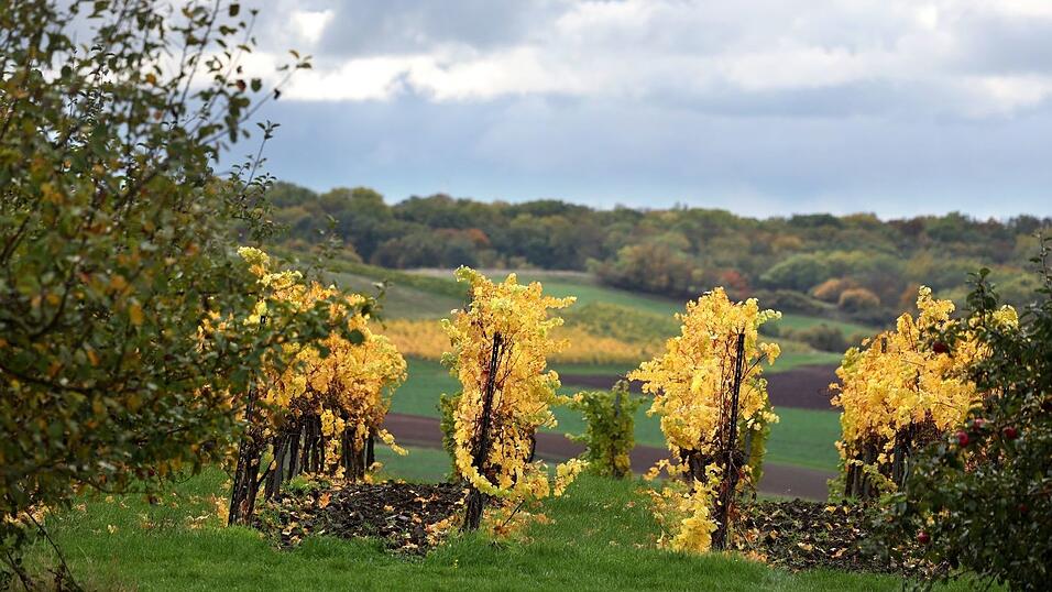 Wolken trüben den goldenen Herbst in Bayern in den kommenden Tagen.