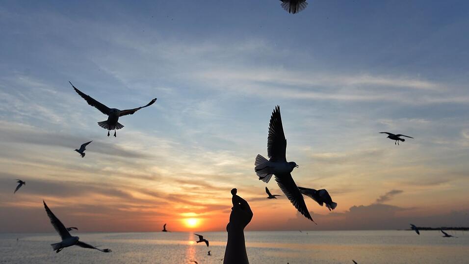 Sonnige Reiseziele sind laut Dertour besonders gefragt. (Archivbild) Sonnige Reiseziele sind laut Dertour besonders gefragt. (Archivbild)