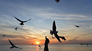 Sonnige Reiseziele sind laut Dertour besonders gefragt. (Archivbild) Sonnige Reiseziele sind laut Dertour besonders gefragt. (Archivbild)