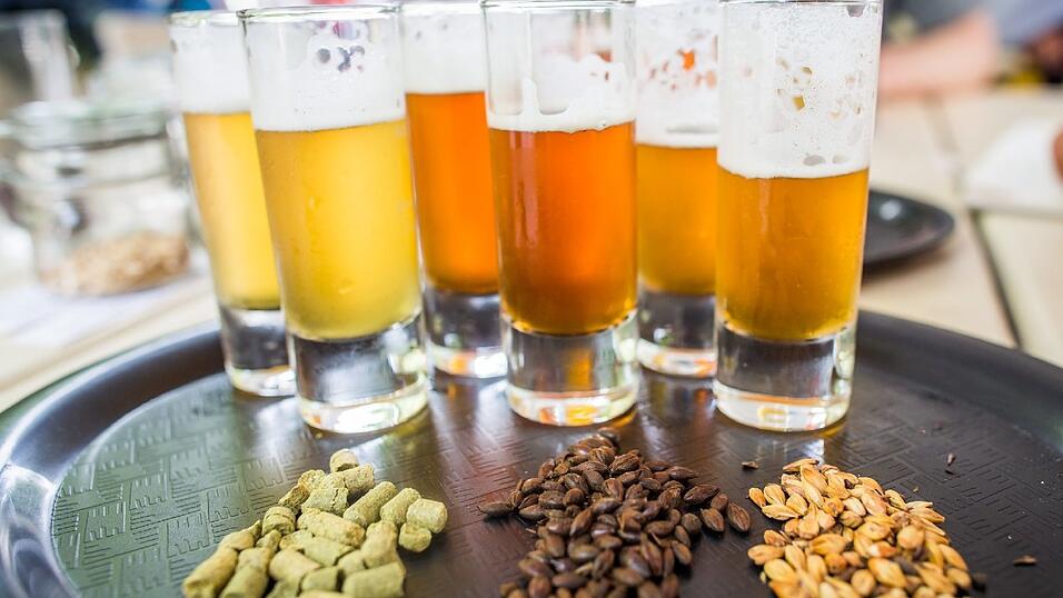 Verschiedene Biersorten in Probiergläsern sowie Hopfen (l.u.) zwei Malzsorten (u.M. und u.r.) sind auf einem Tisch arrangiert. Pünktlich zu 500 Jahren Reinheitsgebot zeichnet sich ein neuer Trend im deutschen Biermarkt ab: Craftbier. Verschiedene Biersorten in Probiergläsern sowie Hopfen (l.u.) zwei Malzsorten (u.M. und u.r.) sind auf einem Tisch arrangiert. Pünktlich zu 500 Jahren Reinheitsgebot zeichnet sich ein neuer Trend im deutschen Biermarkt ab: Craftbier.