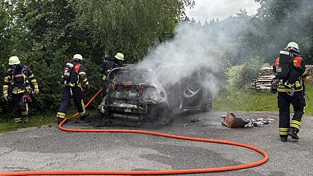 Der Smart geriet aus ungekl&auml;rter Ursache in Vollbrand.