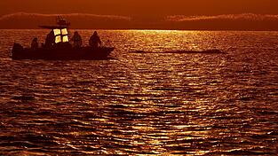 Bis in die Abendstunden arbeiteten die Helfer am Wal.