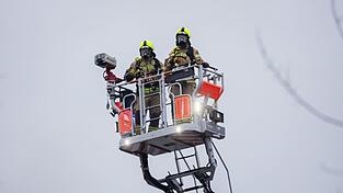 Trotz Drehleiter der Feuerwehr blieb die Katze der Frau verschwunden. (Symbolbild)