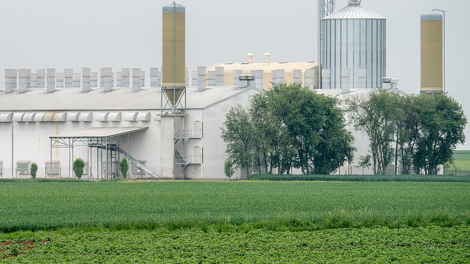Nach dem Salmonellenskandal bei der Firma 'Bayern-Ei' soll ein Sondergutachter bis Ende Januar seine Empfehlungen vorlegen. Nach dem Salmonellenskandal bei der Firma 'Bayern-Ei' soll ein Sondergutachter bis Ende Januar seine Empfehlungen vorlegen.