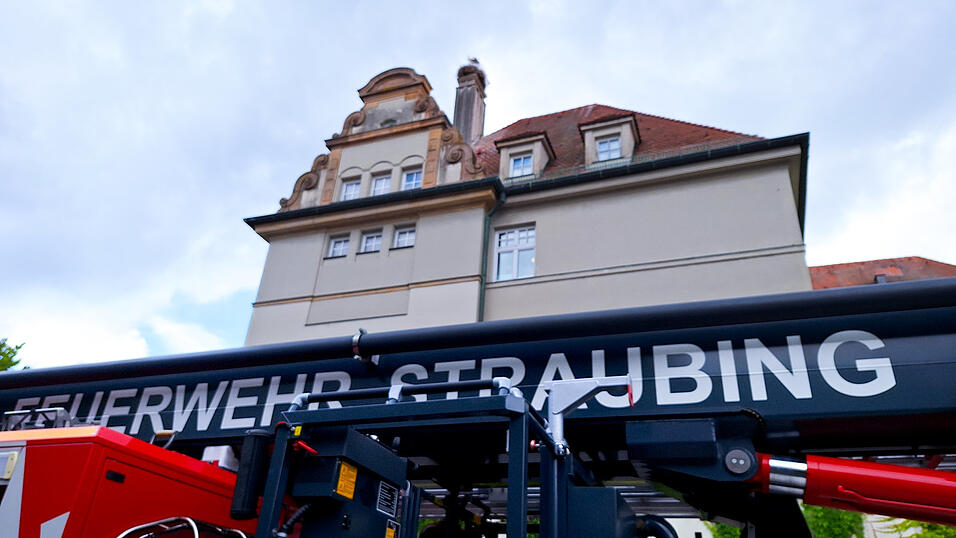 Der am Dach der Hypovereinsbank eingeklemmte Jungstorch konnte schnell gerettet werden und unbeschadet im Horst abgeliefert werden.