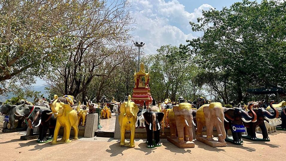 Elefanten sind Thailands Nationaltiere und werden in vielen Tempeln verehrt. (Archivbild)