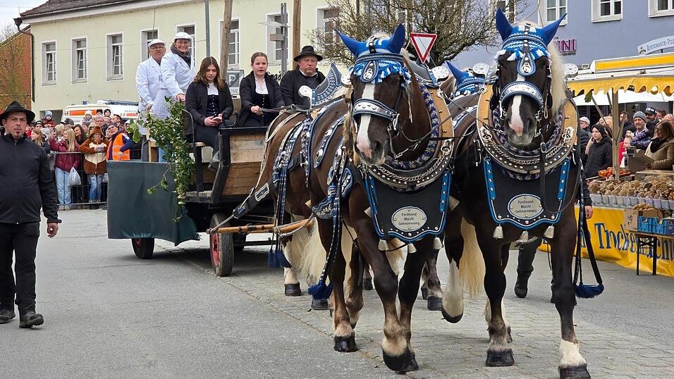 Der Rosstag in Osterhofen - immer wieder ein Erlebnis.