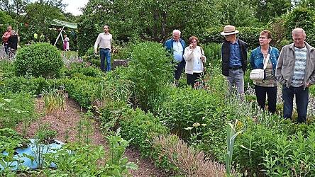Die Pflanzen im Bauerngarten wurden fachm&auml;nnisch begutachtet.
