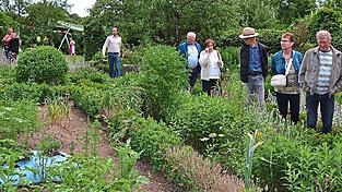 Die Pflanzen im Bauerngarten wurden fachmännisch begutachtet. Die Pflanzen im Bauerngarten wurden fachmännisch begutachtet.