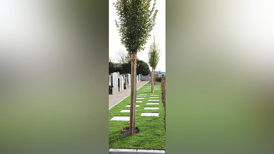 Neu ist auch diese Urnengrabreihe zwischen dem alten und neuen Friedhof. Neu ist auch diese Urnengrabreihe zwischen dem alten und neuen Friedhof.