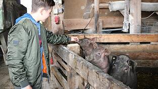 Für die Zeitung macht Max eine Führung über den Hof und lässt sich bereitwillig beim Schweinestreicheln fotografieren.