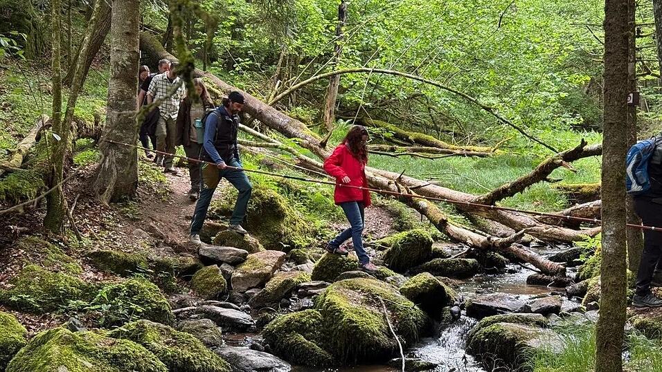 Bei der Er&ouml;ffnungswanderung auf dem neuen &bdquo;Wandersteig H&ouml;llensteinsee&ldquo; wurde darauf hingewiesen, dass der Steig als &bdquo;sehr schwer&ldquo; eingestuft wird und nur etwas f&uuml;r ge&uuml;bte Wanderer ist.