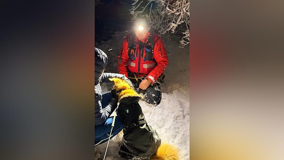 In einer dreist&uuml;ndigen Aktion wurde das Tier geborgen. (Handout)