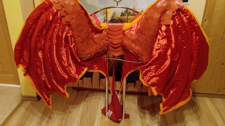 Die fertigen Fl&uuml;gel.