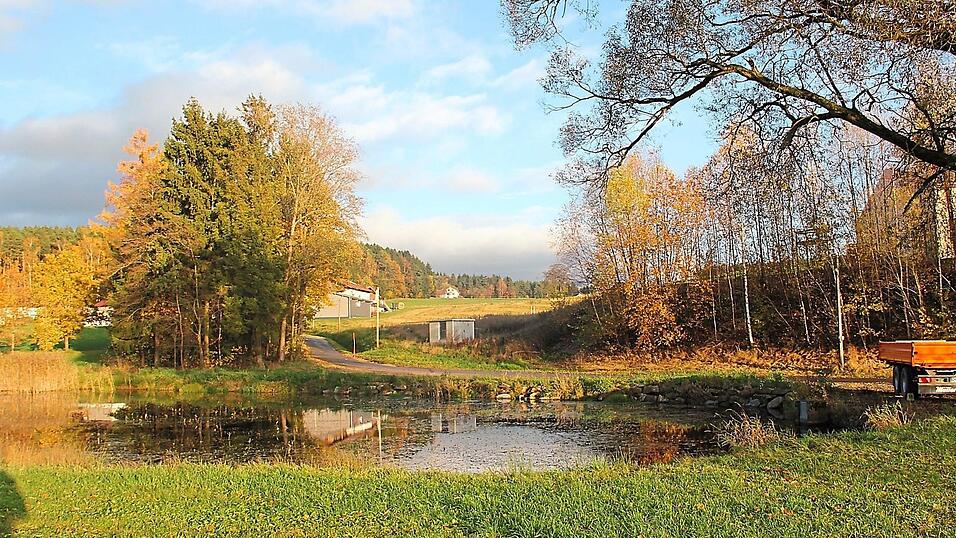 Der neue Standort für den geplanten Mobilfunkmast in Ramsried befindet sich auf der Fläche hinter der Trafostation. Der neue Standort für den geplanten Mobilfunkmast in Ramsried befindet sich auf der Fläche hinter der Trafostation.