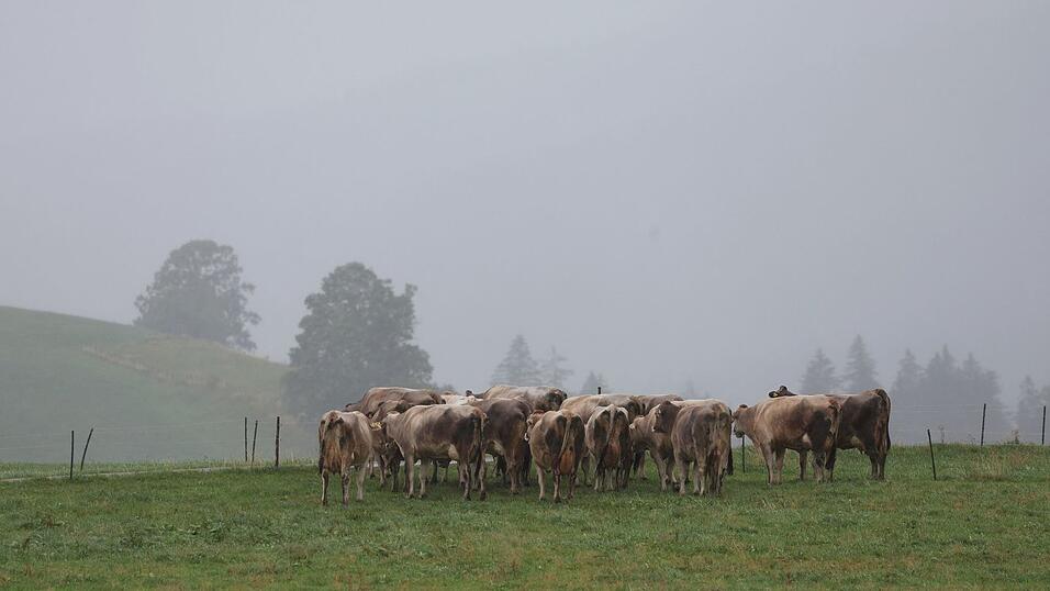 Grau in Grau statt Sonne: Der Herbst meldet sich in Bayern eindringlich. (Archivbild) Grau in Grau statt Sonne: Der Herbst meldet sich in Bayern eindringlich. (Archivbild)