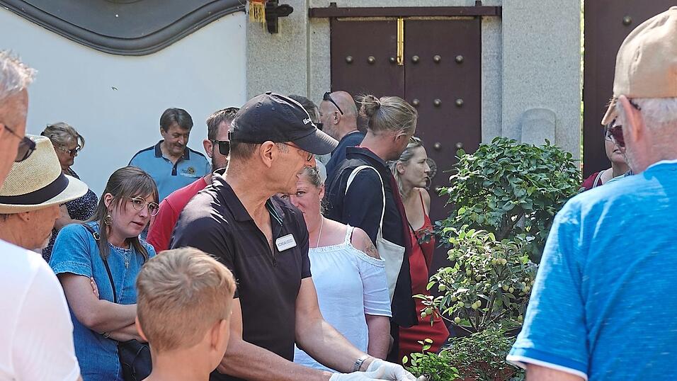 Rainer Dedio informierte Interessierte dar&uuml;ber, wie man einen Bonsai ein- und umtopft.