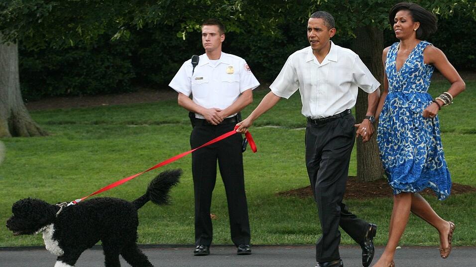 Bevor Hündin Sunny zu den Obamas kam, gehörte auch schon Hund Bo zur Familie. (Archivbild) Bevor Hündin Sunny zu den Obamas kam, gehörte auch schon Hund Bo zur Familie. (Archivbild)