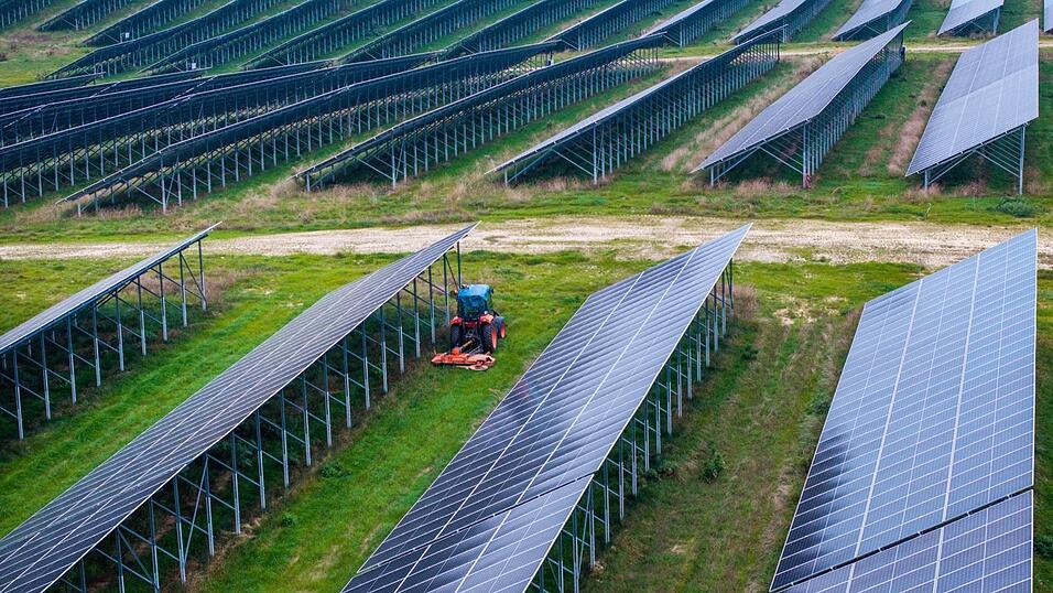 Bei Agri-Photovoltaik-Anlagen werden die Sonnenkollektoren so angebracht, dass auf der Fl&auml;che noch Tiere gehalten oder Feldfr&uuml;chte angebaut werden k&ouml;nnen.