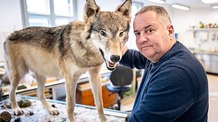 Tierpr&auml;parator Christian Blumenstein mit W&ouml;lfin &laquo;Bella&raquo;.