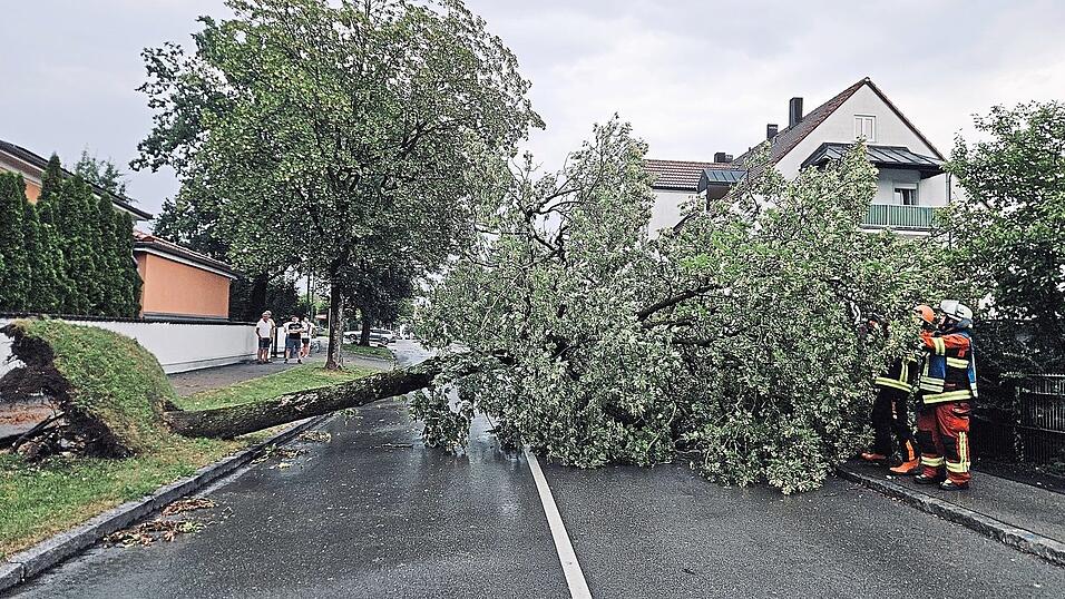 Lokale Unwetterfolgen und auch zahlreiche Vegetationsbrände halten die Landkreisfeuerwehren diesen Sommer auf Trab. Lokale Unwetterfolgen und auch zahlreiche Vegetationsbrände halten die Landkreisfeuerwehren diesen Sommer auf Trab.