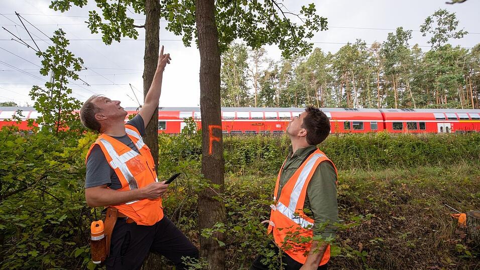 Umgestürzte Bäume verursachen auf Bahngleisen oft Probleme. (Symbolbild) Umgestürzte Bäume verursachen auf Bahngleisen oft Probleme. (Symbolbild)