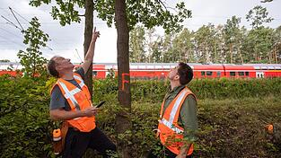 Umgestürzte Bäume verursachen auf Bahngleisen oft Probleme. (Symbolbild) Umgestürzte Bäume verursachen auf Bahngleisen oft Probleme. (Symbolbild)