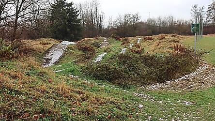 Kein Geld gibt es für den Antrag der Grünen, den Bikepark an der Alten Thalbacher Straße zu reaktivieren. Kein Geld gibt es für den Antrag der Grünen, den Bikepark an der Alten Thalbacher Straße zu reaktivieren.