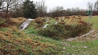 Kein Geld gibt es für den Antrag der Grünen, den Bikepark an der Alten Thalbacher Straße zu reaktivieren.