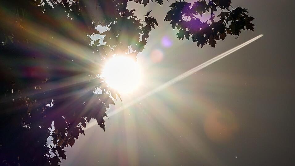 Die Sonne schaut hinter einer Baumkrone hervor. (Archivbild) Die Sonne schaut hinter einer Baumkrone hervor. (Archivbild)