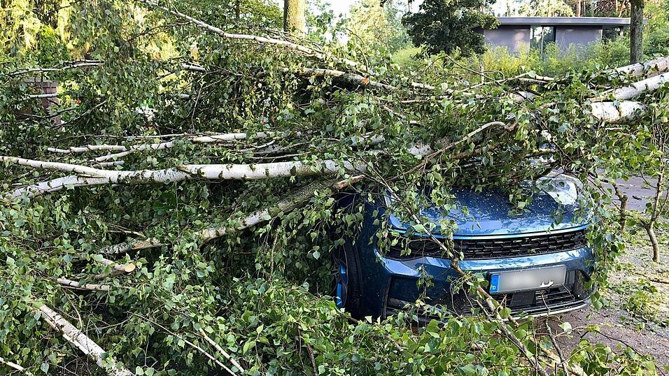 Bäume, die auf Autos stürzen und andere Naturgefahren richteten vergangenes Jahr deutlich weniger Schäden an. (Archivbild) Bäume, die auf Autos stürzen und andere Naturgefahren richteten vergangenes Jahr deutlich weniger Schäden an. (Archivbild)
