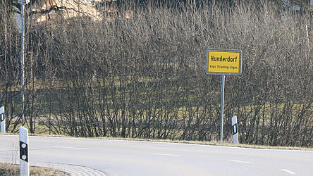 Bei der Gemeinderatssitzung wurden Szenarien für einen schadensfreien Abfluss aufgezeigt.