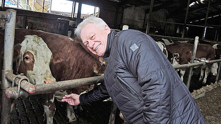 Keine Ber&uuml;hrungs&auml;ngste: Alois Rainer im modernen Laufstall, den die Familie Kremheller bereits 2007 errichtet hat.