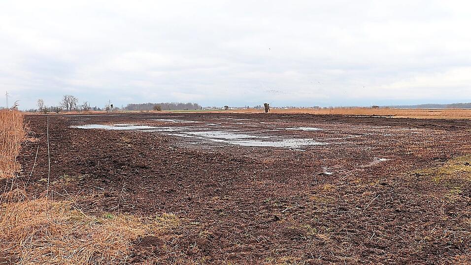 Diese ehemalige Wiese wurde ohne Genehmigung abgegraben. Diese ehemalige Wiese wurde ohne Genehmigung abgegraben.