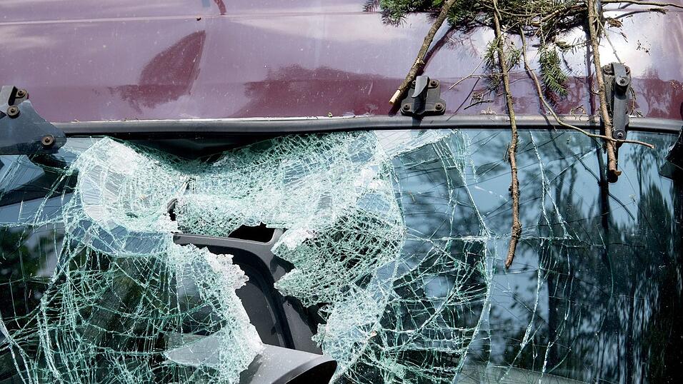 Herabfallende Äste können ein parkendes Auto schwer beschädigen.
