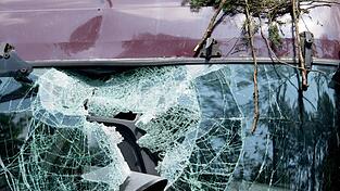 Herabfallende &Auml;ste k&ouml;nnen ein parkendes Auto schwer besch&auml;digen.