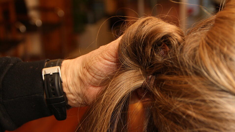 3. Den oberen Pferdeschwanz je nach F&uuml;lle in zwei oder drei Str&auml;hnen teilen. Jede Str&auml;hne einmal um die Finger wickeln und mit Haarklammern am Hinterkopf feststecken. Dasselbe jetzt beim unteren Pferdeschwanz wiederholen.