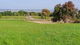 Das Naturschutzgebiet am ehemaligen Standort&uuml;bungsplatz bietet viele extensiv, also ohne hohen Arbeitseinsatz und ohne D&uuml;nger, bewirtschaftete Fl&auml;chen wie diese M&auml;hwiese.