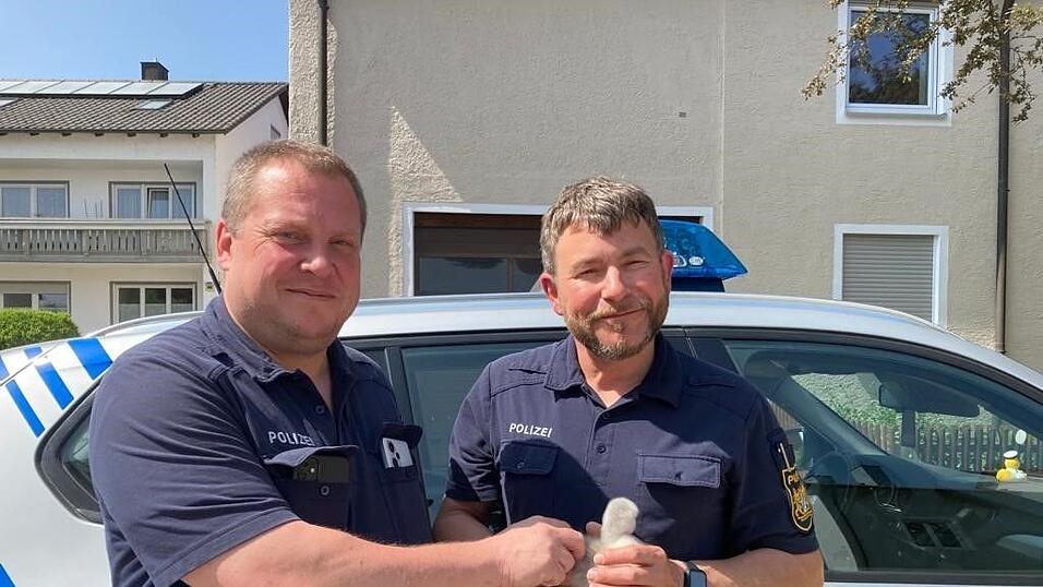 Zwei Polizisten mit einem Schwanenk&uuml;ken.