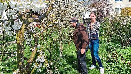 Dank der fleißigen Bienchen, können Krinners in ihrem Obstbaumspalier eine ertragreiche Ernte erwarten.