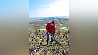 Hugues Poret, bei der Arbeit im Weinberg. Je nach Jahreszeit stehen hier andere Aufgaben an. Hugues Poret, bei der Arbeit im Weinberg. Je nach Jahreszeit stehen hier andere Aufgaben an.