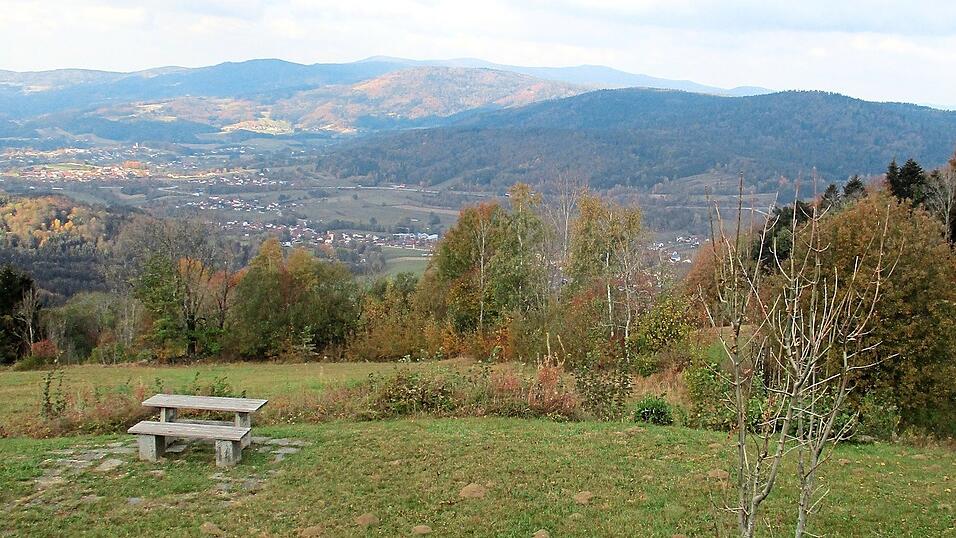 Der Lallinger Winkel ist als 'kleine Schwammerloase' bekannt.