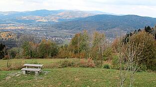 Der Lallinger Winkel ist als 'kleine Schwammerloase' bekannt.