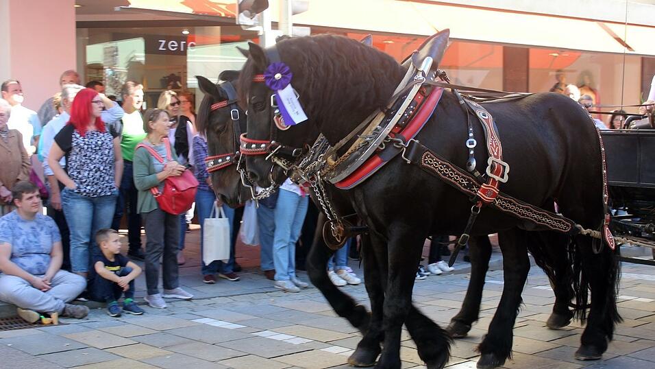 Viele Besucher verfolgten am Sonntag den Umzug auf dem Vilsbiburger Stadtplatz. Viele Besucher verfolgten am Sonntag den Umzug auf dem Vilsbiburger Stadtplatz.