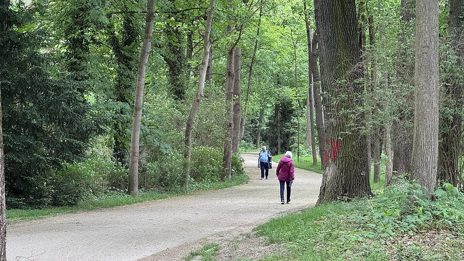 2024 soll ein Mann in der Fürst-Anselm-Allee eine junge Frau sexuell bedrängt haben. Nun droht ihm die Sicherungsverwahrung. 2024 soll ein Mann in der Fürst-Anselm-Allee eine junge Frau sexuell bedrängt haben. Nun droht ihm die Sicherungsverwahrung.
