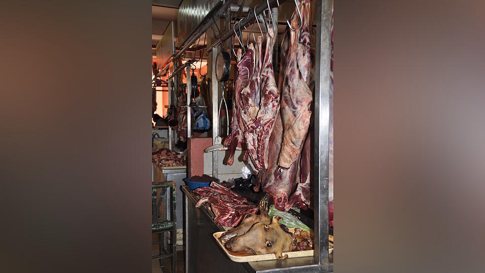 Bilder zum Thema Bilder zum Thema