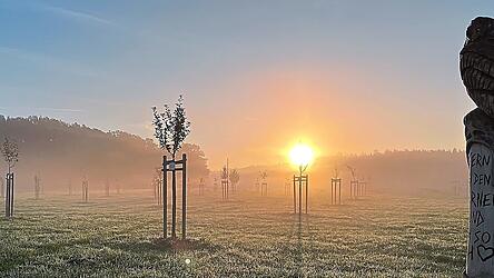 Die Eule wacht über den Erinnerungswald bei Wemding. Auch in Altdorf soll eine Erinnerungsstätte für Sternenkinder entstehen