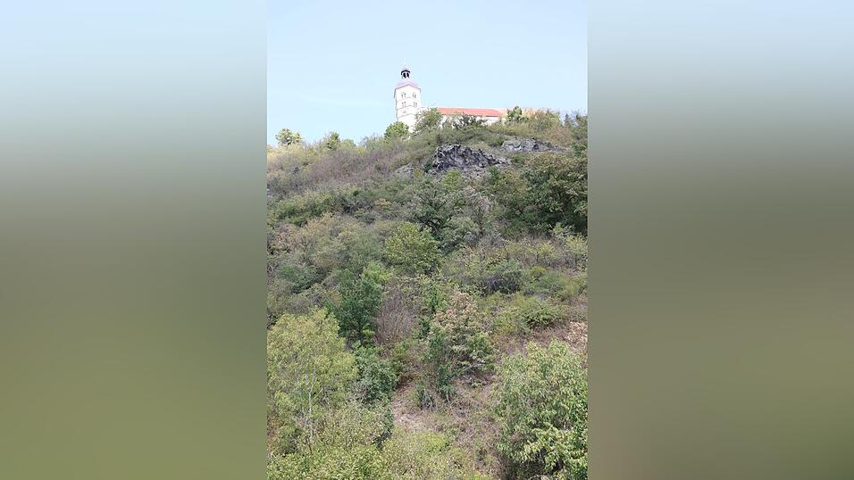 Der 432 Meter hohe Bogenberg mit der Wallfahrtskirche auf dem Gipfelplateau fällt zur Donau hin steil ab. Der 432 Meter hohe Bogenberg mit der Wallfahrtskirche auf dem Gipfelplateau fällt zur Donau hin steil ab.