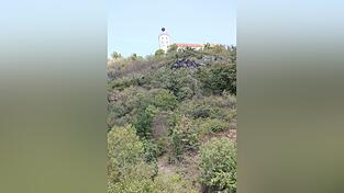 Der 432 Meter hohe Bogenberg mit der Wallfahrtskirche auf dem Gipfelplateau fällt zur Donau hin steil ab. Der 432 Meter hohe Bogenberg mit der Wallfahrtskirche auf dem Gipfelplateau fällt zur Donau hin steil ab.